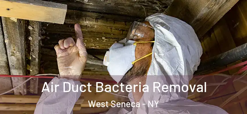  Air Duct Bacteria Removal West Seneca - NY
