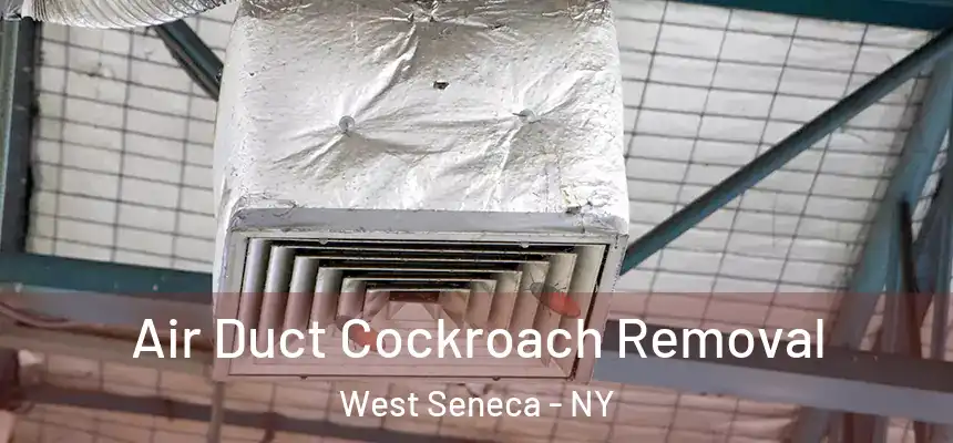  Air Duct Cockroach Removal West Seneca - NY