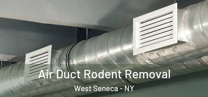  Air Duct Rodent Removal West Seneca - NY