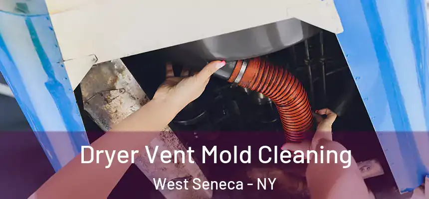  Dryer Vent Mold Cleaning West Seneca - NY