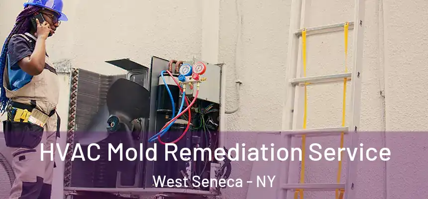  HVAC Mold Remediation Service West Seneca - NY
