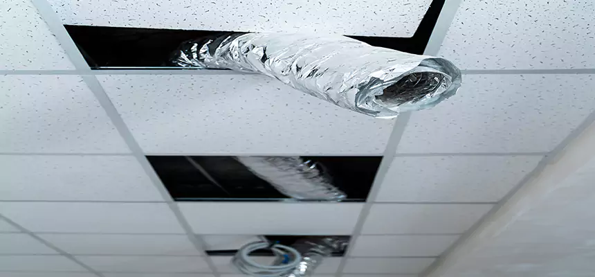 Affordable HVAC Sanitizing After Pest Removal in West Seneca