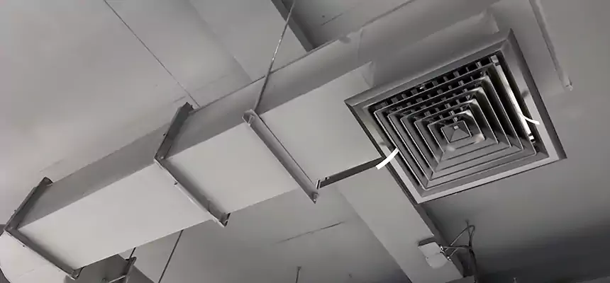 Our Pest Removal From Ducts Services in West Seneca, NY