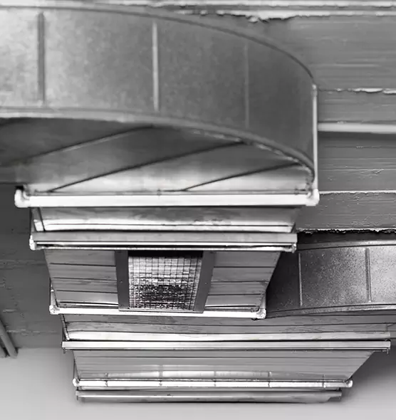 Professional Air Duct Pet Hair Removal in West Seneca, NY