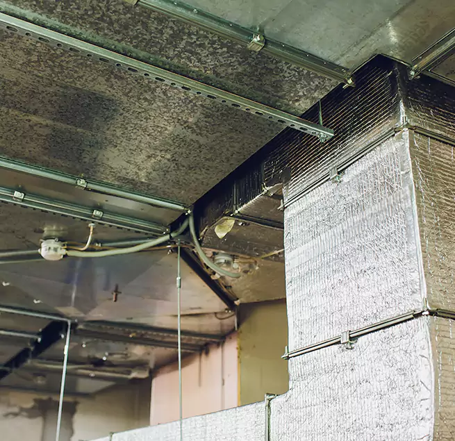 Why Homeowners & Businesses Trust Us in West Seneca, NY?